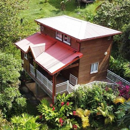 Mahogany Lodge - Oasis Cosy Rivière-Pilote Zewnętrze zdjęcie