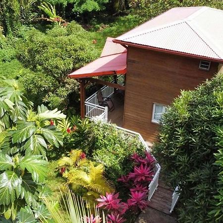 Mahogany Lodge - Oasis Cosy Rivière-Pilote Zewnętrze zdjęcie