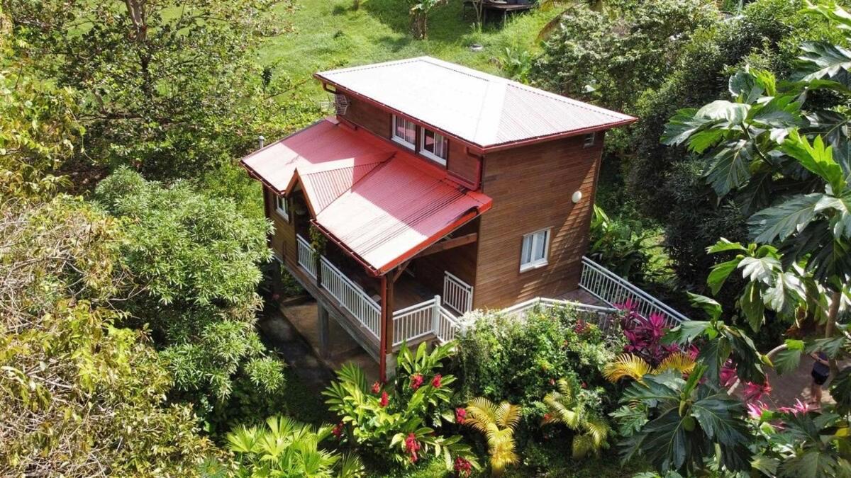 Mahogany Lodge - Oasis Cosy Rivière-Pilote Zewnętrze zdjęcie