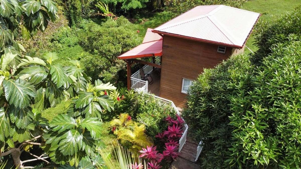 Mahogany Lodge - Oasis Cosy Rivière-Pilote Zewnętrze zdjęcie